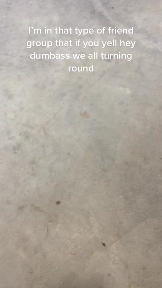 TikTok video thumbnail by thatrowdy250r