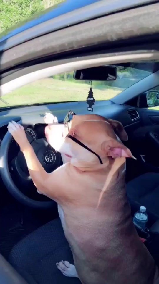 TikTok video thumbnail by flooky