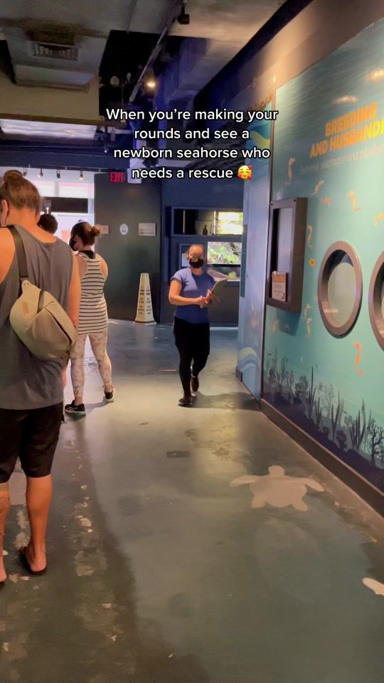TikTok video thumbnail by waikikiaquariumofficial