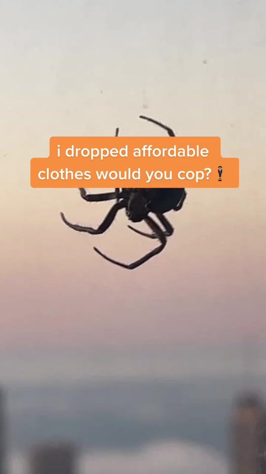 TikTok video thumbnail by phantomglobalarchive