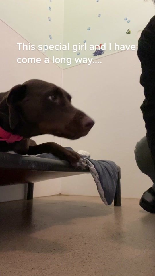 TikTok video thumbnail by ruffininngeneralmanager