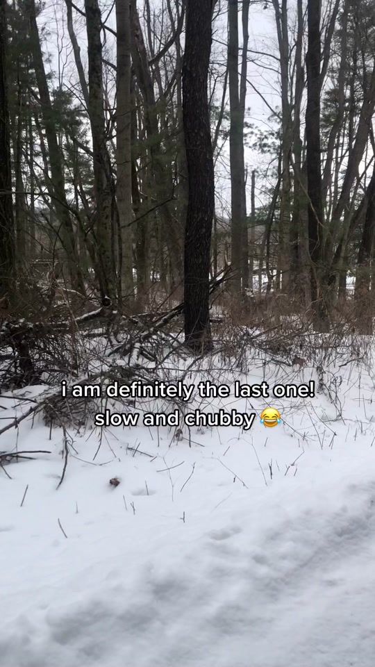 TikTok video thumbnail by anxietyriddenhotmessmama