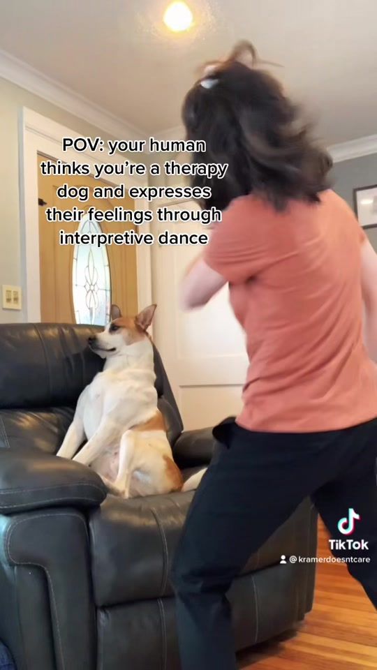 TikTok video thumbnail by kramerdoesntcare