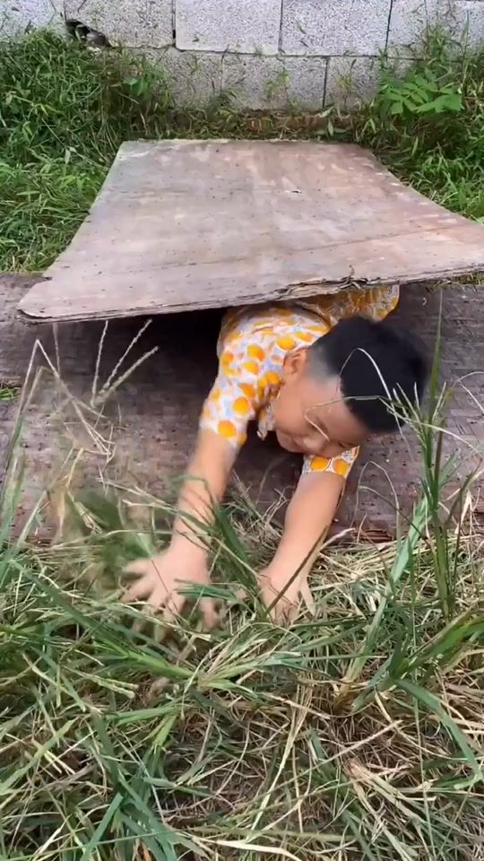 TikTok video thumbnail by cocothe8dogs