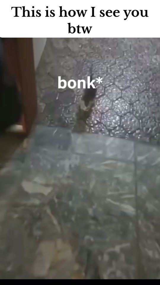 TikTok video thumbnail by k9bitezz
