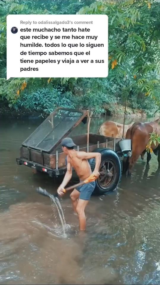 TikTok video thumbnail by gatitaesco
