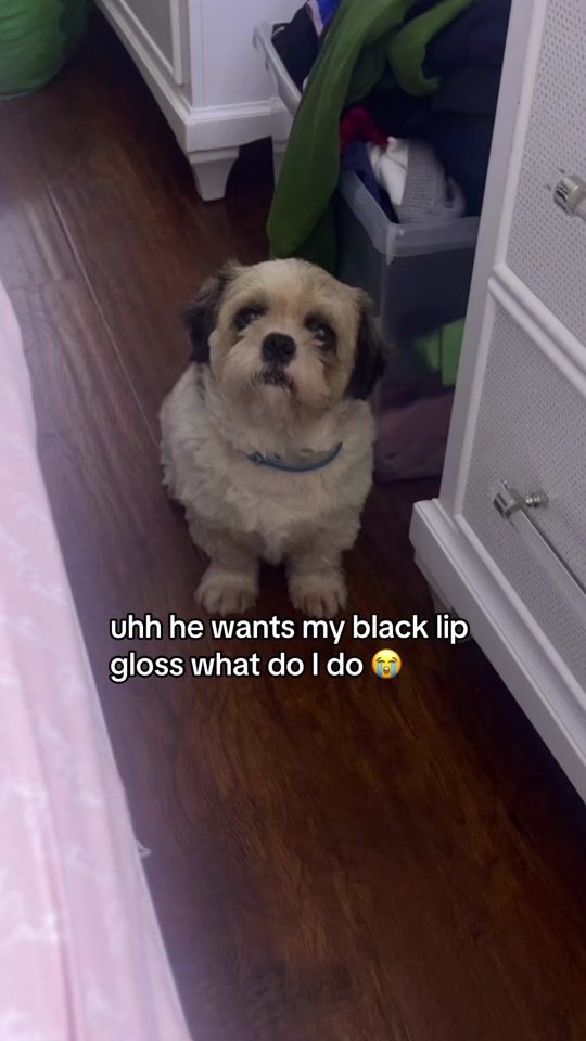TikTok video thumbnail by lilokisses