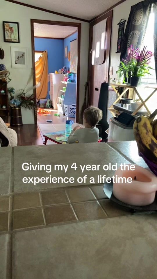 TikTok video thumbnail by lexasaurus_rexx