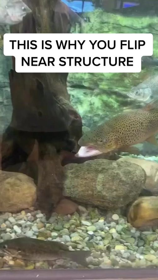 TikTok video thumbnail by getemoutdoors