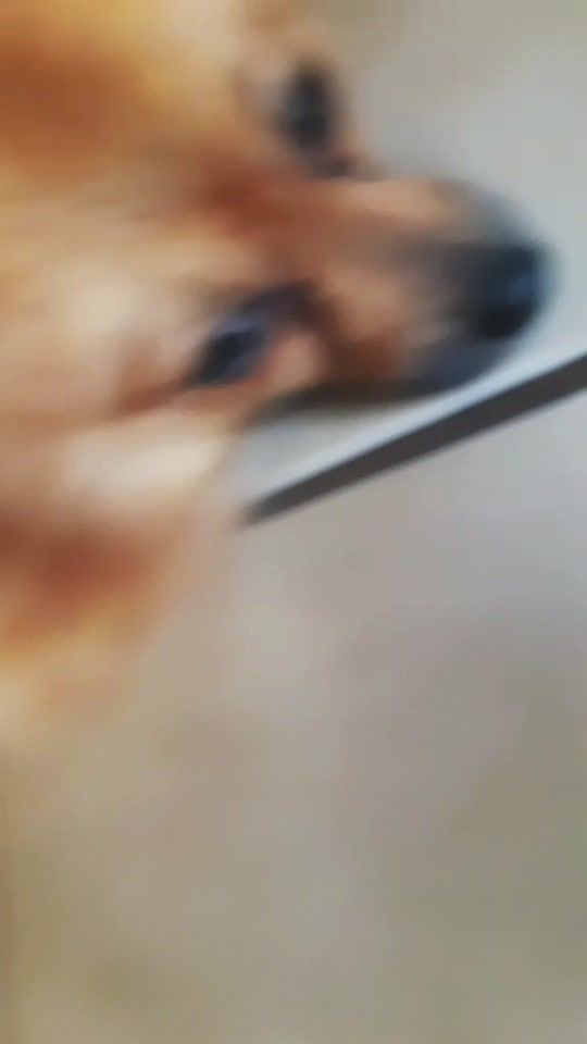 TikTok video thumbnail by princess_mhmm