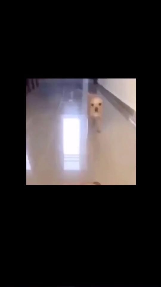 TikTok video thumbnail by carter.brandt