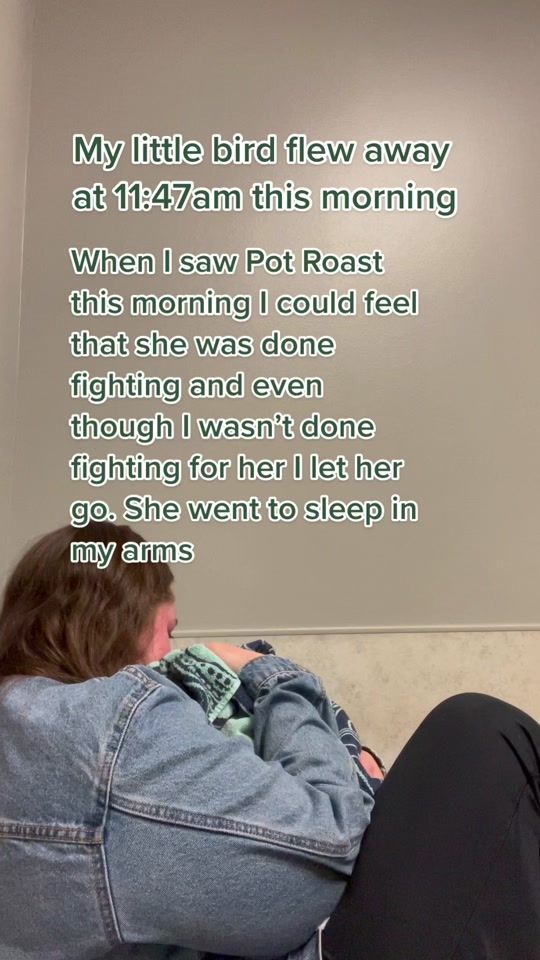 TikTok video thumbnail by potroastsmom