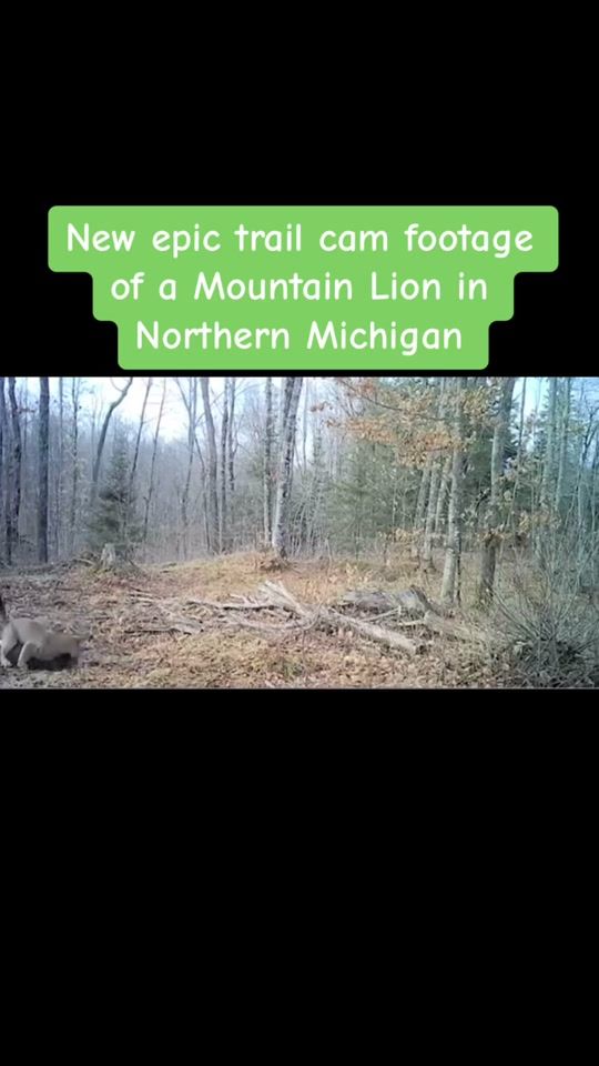 TikTok video thumbnail by joshualawrence81