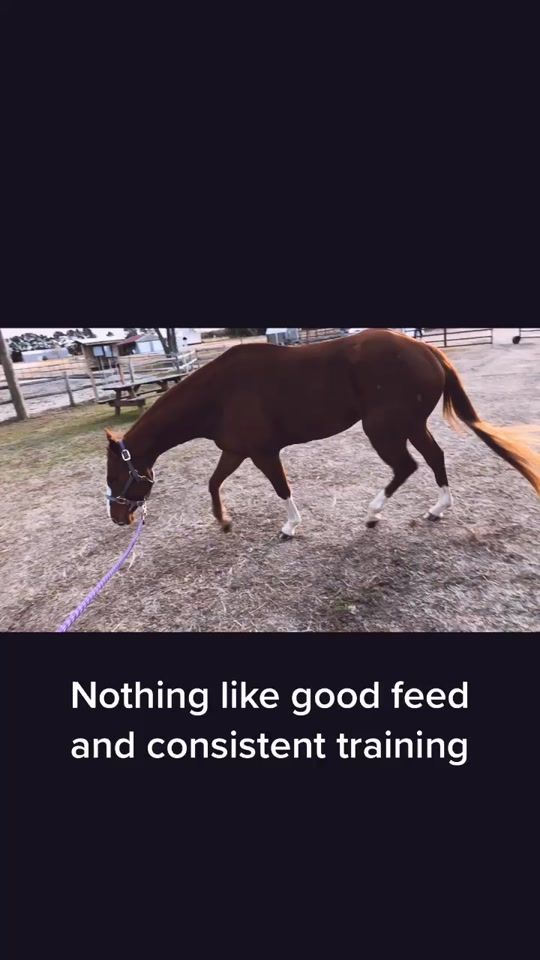 TikTok video thumbnail by darespain