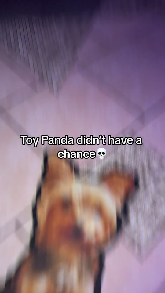 TikTok video thumbnail by theoscarmazariegos