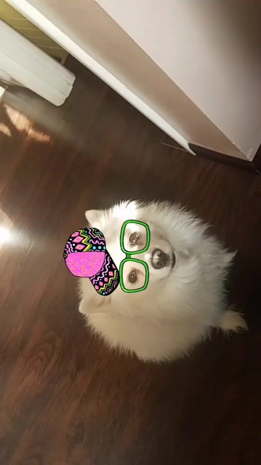 TikTok video thumbnail by katie._.daddyissues16