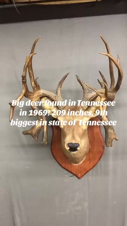 TikTok video thumbnail by brogan.berry