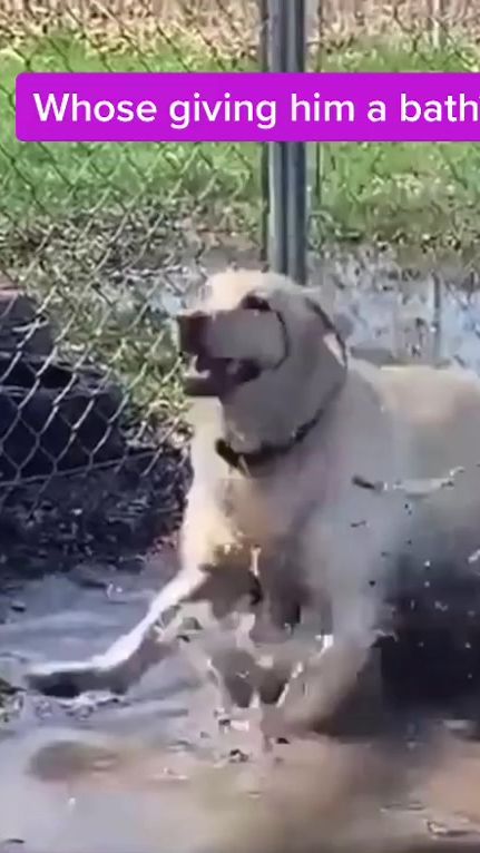 TikTok video thumbnail by sgtbonez