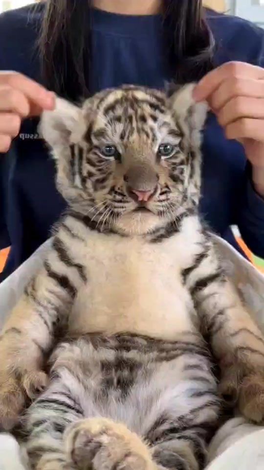 TikTok video thumbnail by fyp_foryou98