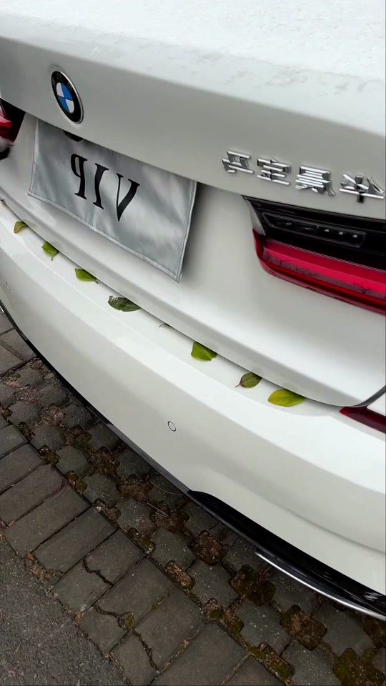 TikTok video thumbnail by eaeoo_carus