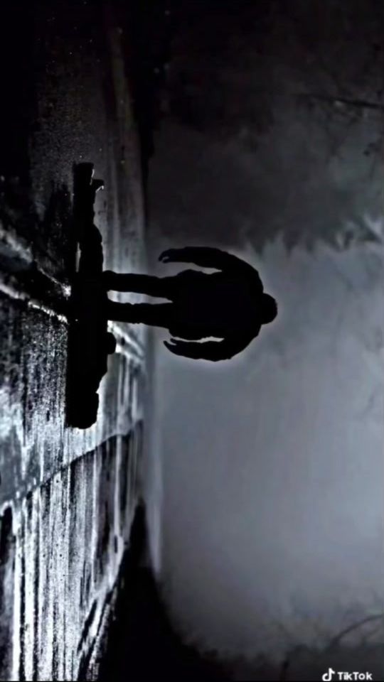 TikTok video thumbnail by .damon_salvatore_editss