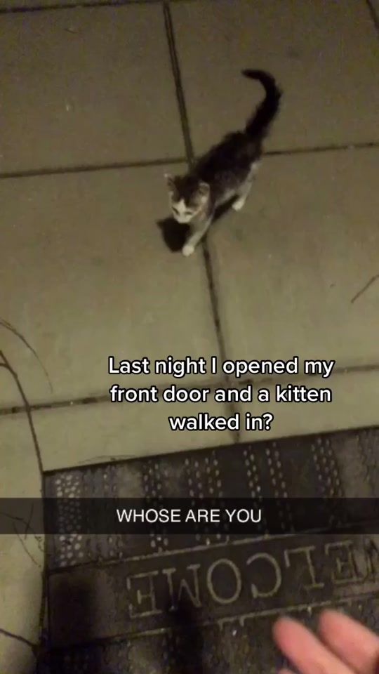 TikTok video thumbnail by itselliebabey