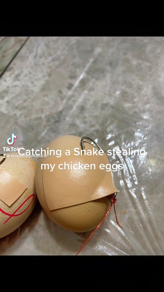 TikTok video thumbnail by fantasmagamefarm