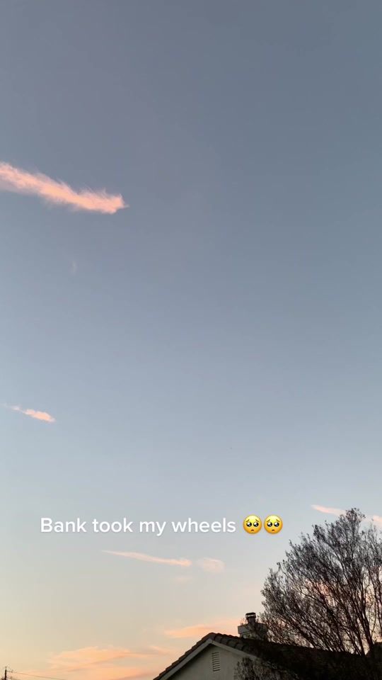 TikTok video thumbnail by behnlewisphoto