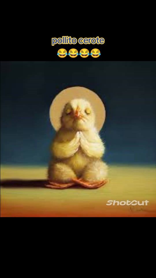 TikTok video thumbnail by 1992502e