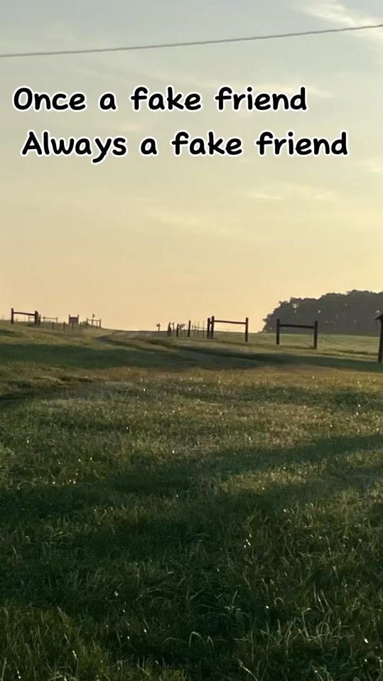 TikTok video thumbnail by amarathaaddy