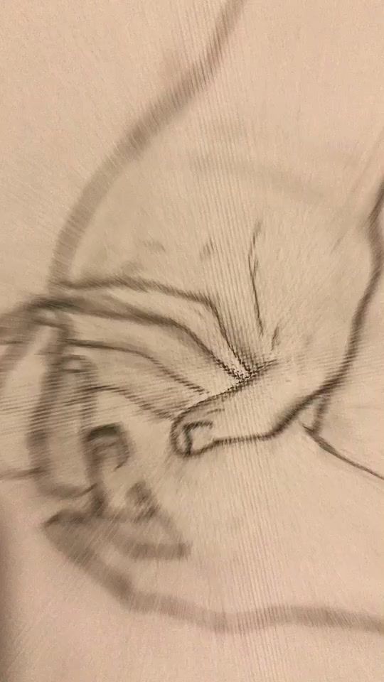 TikTok video thumbnail by artyzzi
