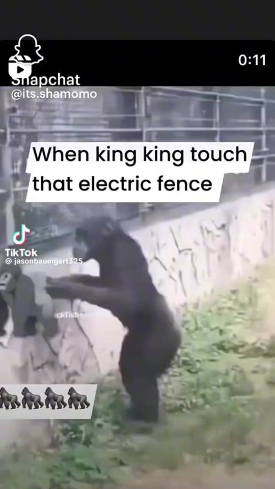 TikTok video thumbnail by slick6559
