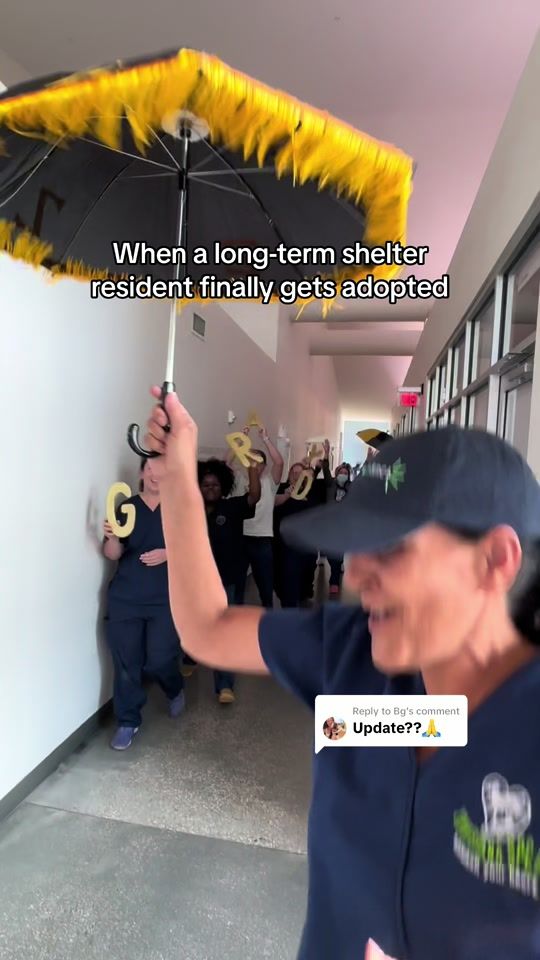 TikTok video thumbnail by laspca