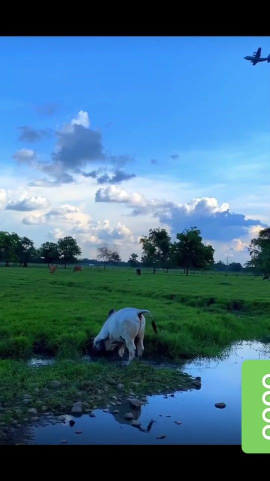 TikTok video thumbnail by charly__17__