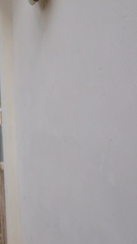 TikTok video thumbnail by frankmolina502