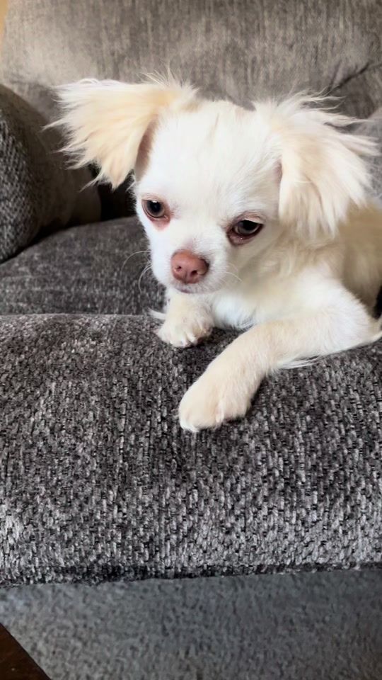 TikTok video thumbnail by elthompson2022