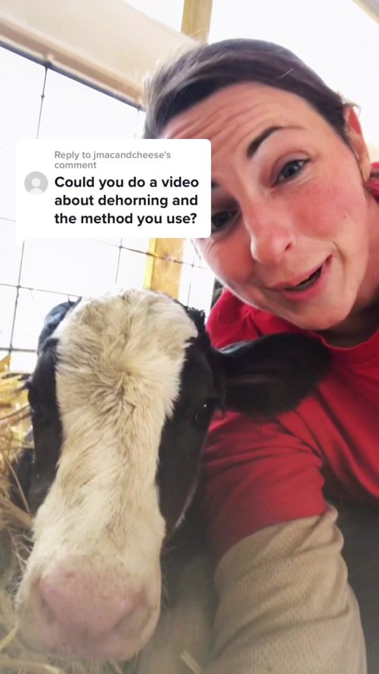 TikTok video thumbnail by richlandsdairy