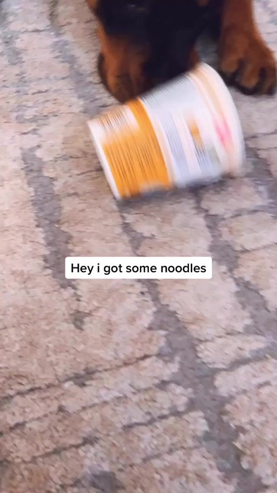 TikTok video thumbnail by thekrazydogs