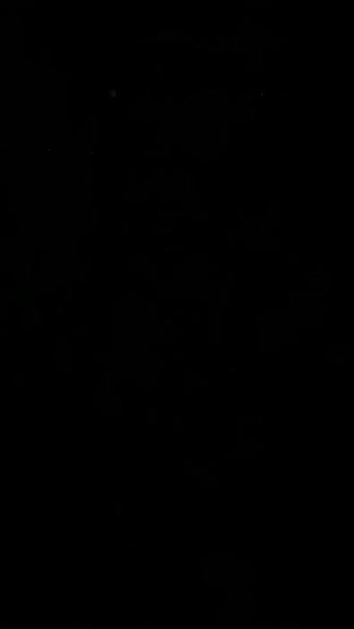 TikTok video thumbnail by hopevein