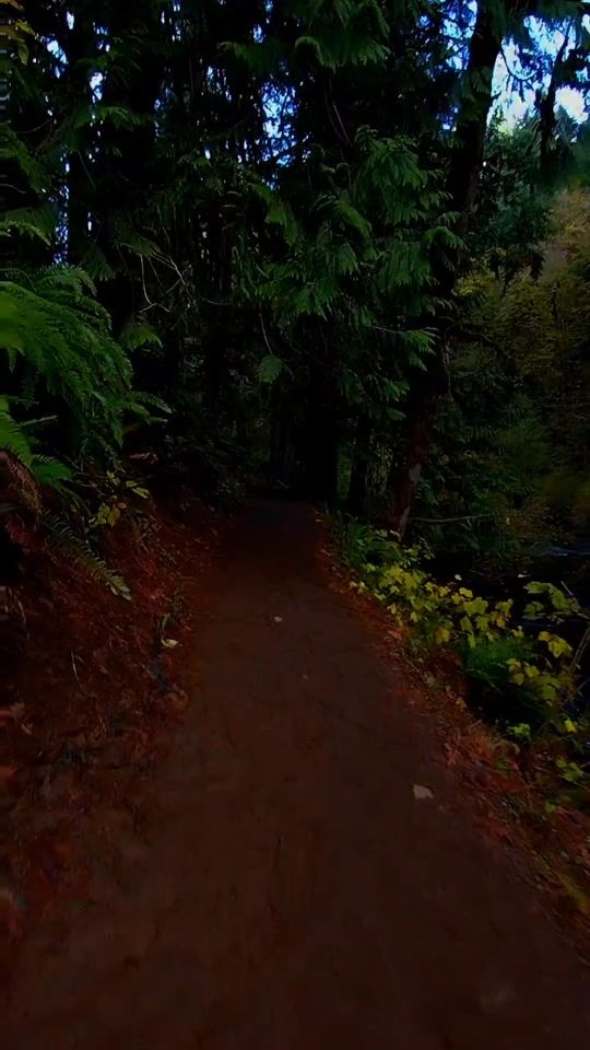 TikTok video thumbnail by treygraphy