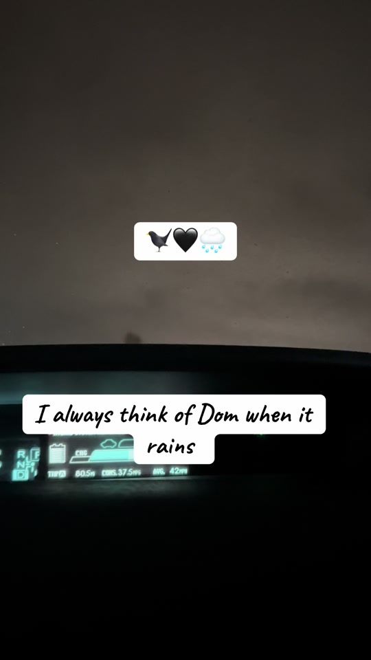 TikTok video thumbnail by caffeineandbooksss