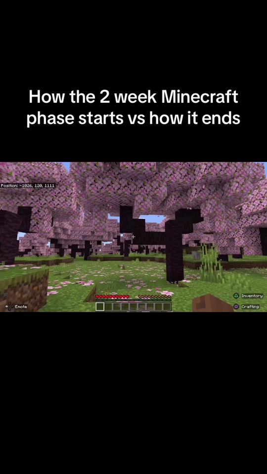 TikTok video thumbnail by braxthrax_