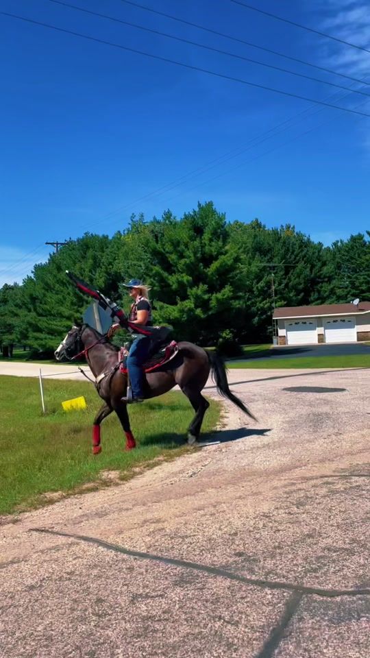 TikTok video thumbnail by thefunnyfarmchronicles