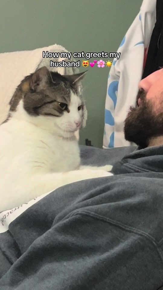 TikTok video thumbnail by t0edirt