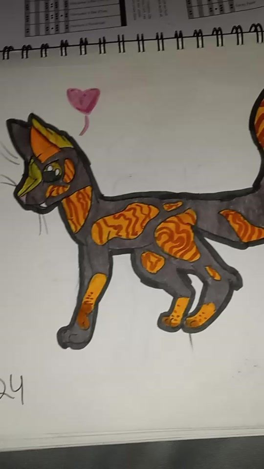 TikTok video thumbnail by arianna.mccoy