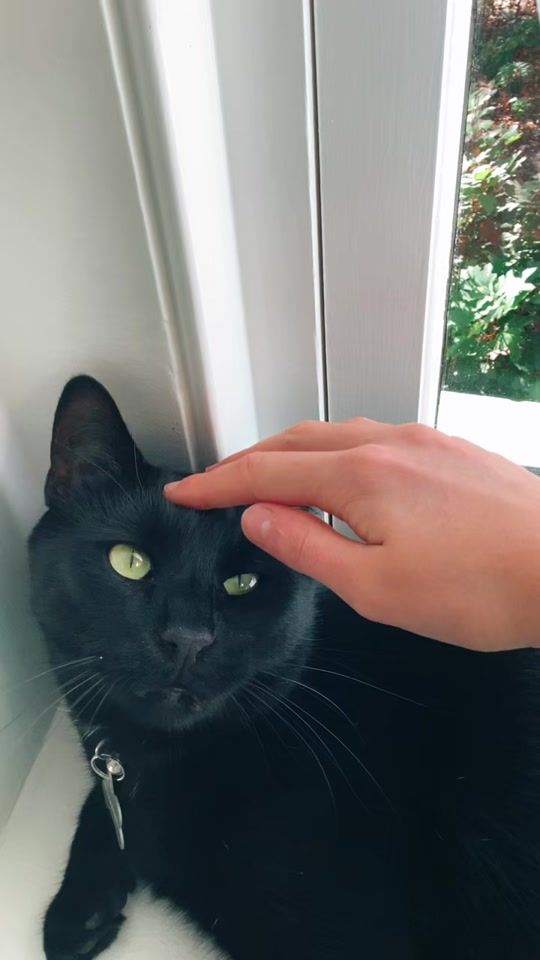 TikTok video thumbnail by anonymous.bby.o