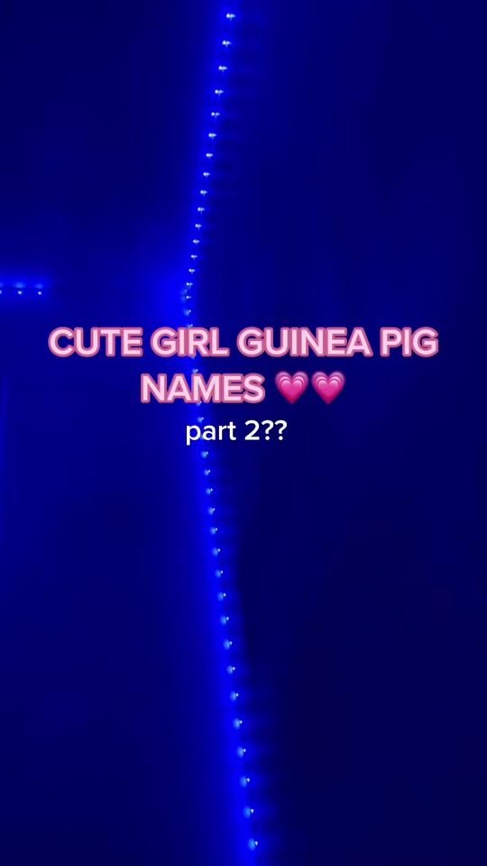 TikTok video thumbnail by rosebudlovesanimals