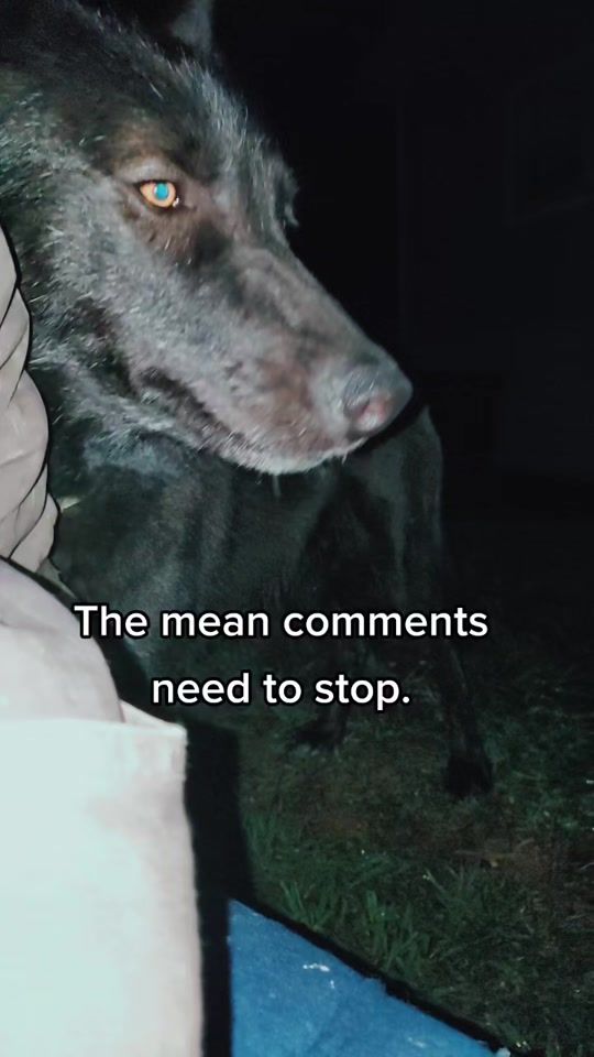 TikTok video thumbnail by trickster.loki
