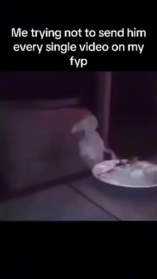 TikTok video thumbnail by yeehaw.com03