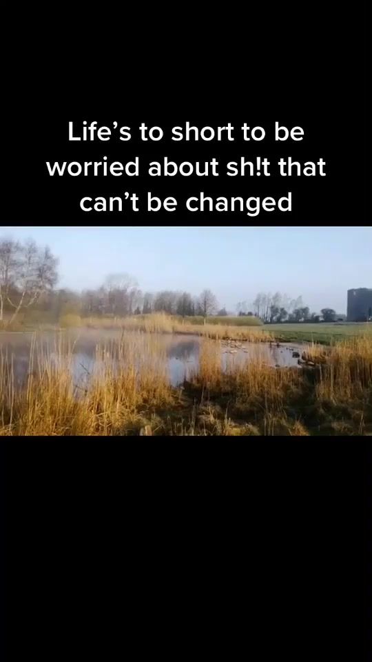 TikTok video thumbnail by johnkindhart
